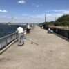 Thumbnail of post image 093