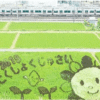 Thumbnail of related posts 136