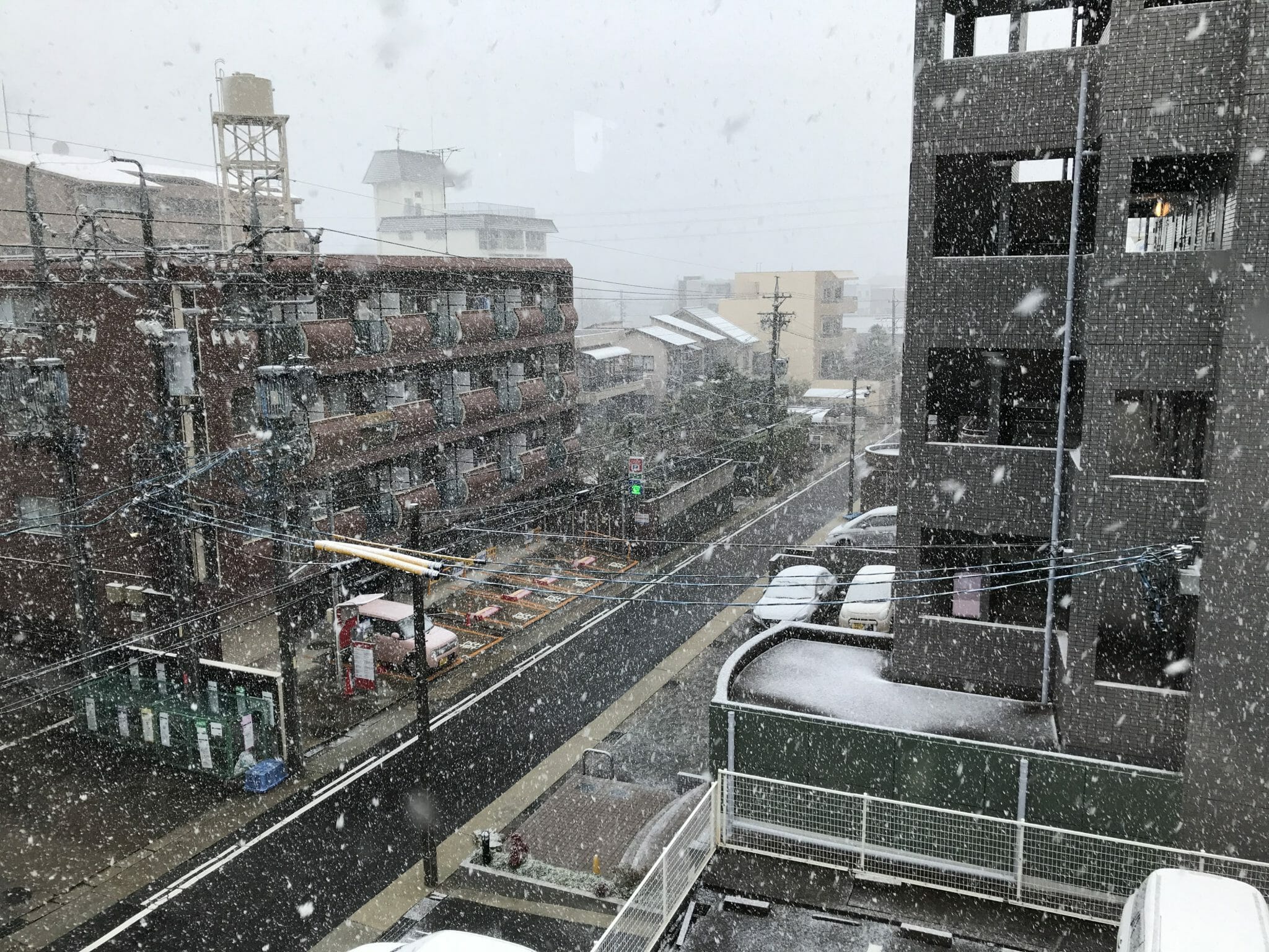 『名古屋でも』うっすら積雪した件