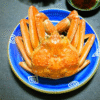 Thumbnail of related posts 061