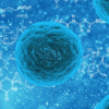 Thumbnail of post image 090